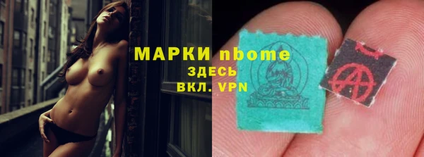 крисы Алзамай