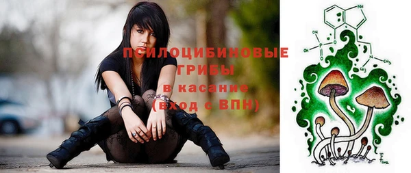 МДПВ Алексеевка