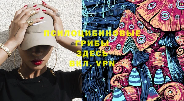 МДПВ Алексеевка