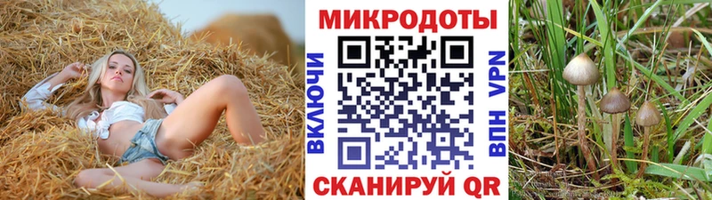 Галлюциногенные грибы мухоморы Дыгулыбгей