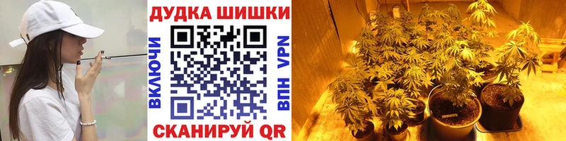 Бошки марихуана конопля Дыгулыбгей